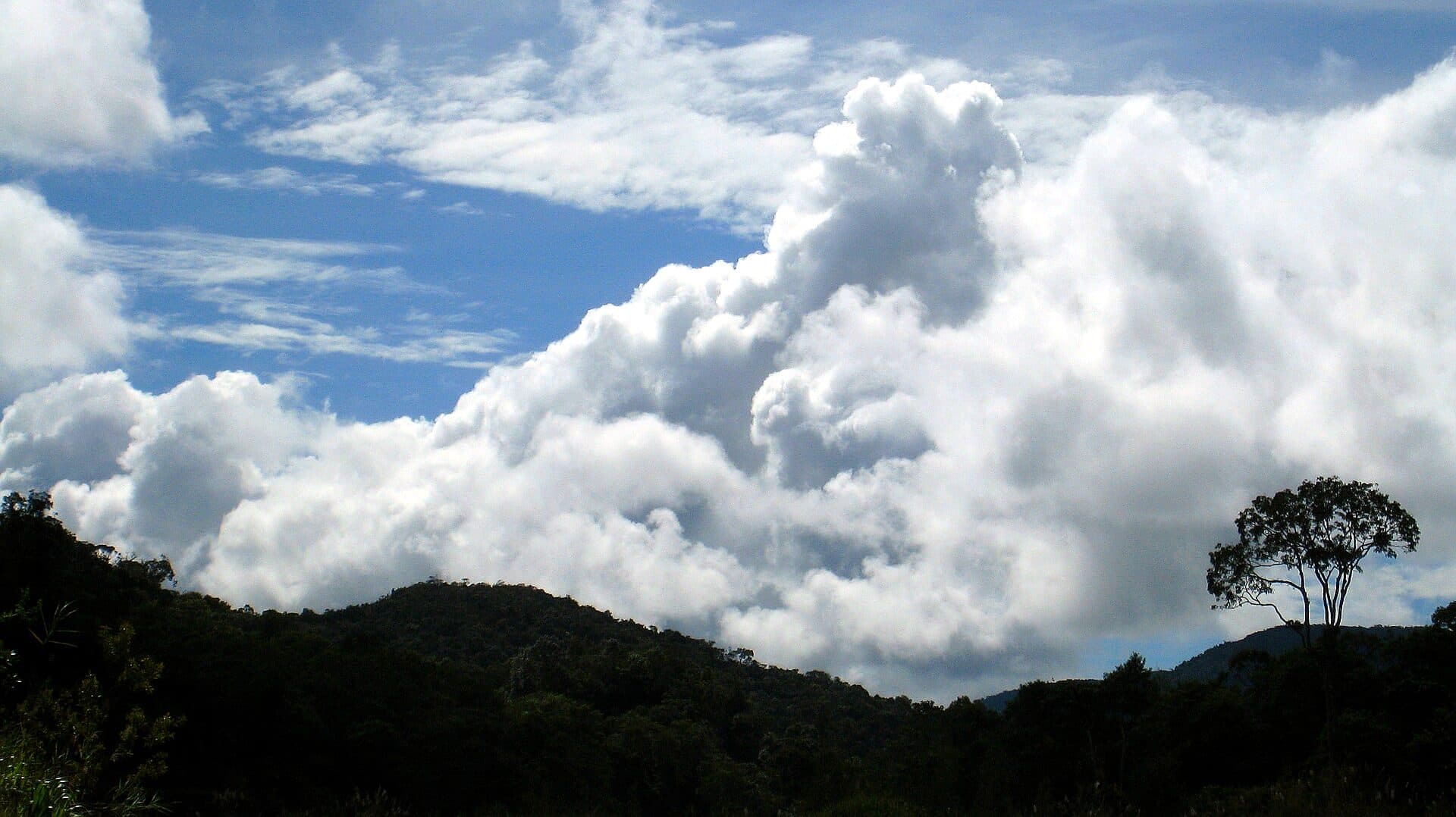 Big cumulus clouds over the forested hills of Cameron Highlands, with a lone tree on the ridge